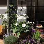 蓝迪特酒店 4*