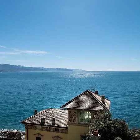 Blu Di Te
