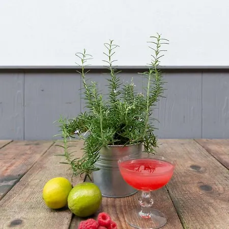 Blu Di Te Отель 4*